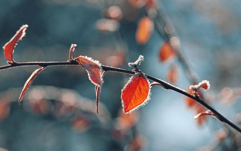 铁岭50etf期权交易平台,怎么选上证50etf期权交易平台