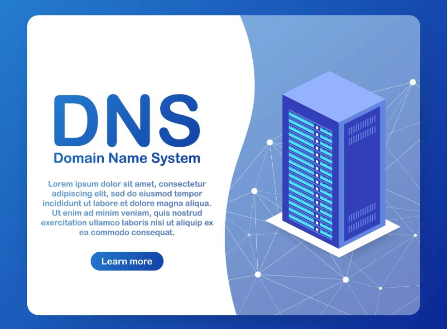 术语dns的含义,术语dns