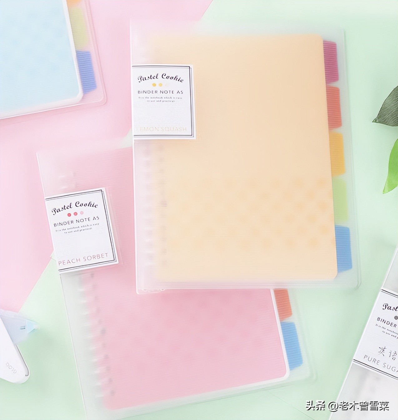 日本排名前十的文具品牌有哪些,日本最新十大文具品牌