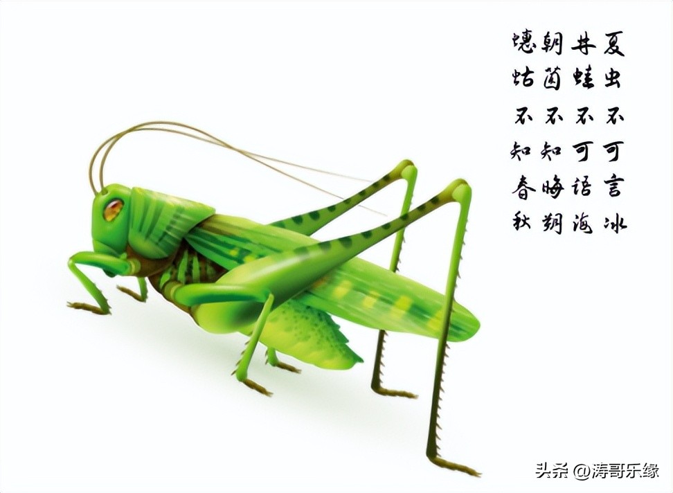 晨会小故事5-10分钟,晨会小故事简短大全