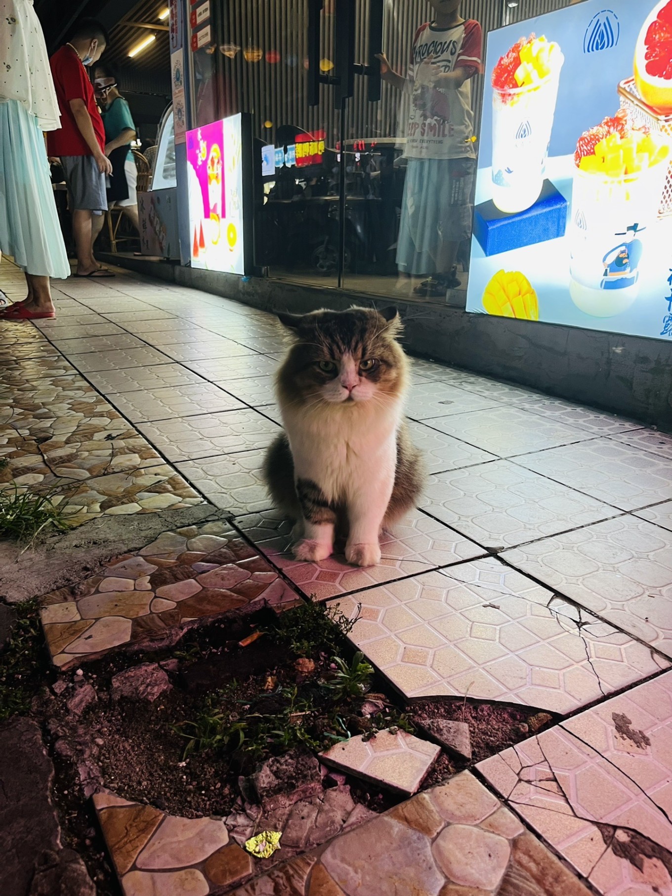 北海之旅不枉此行,夏天的北海之旅