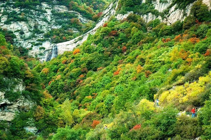 不觉秋已至的古诗,不觉秋已至绝美的平原之秋