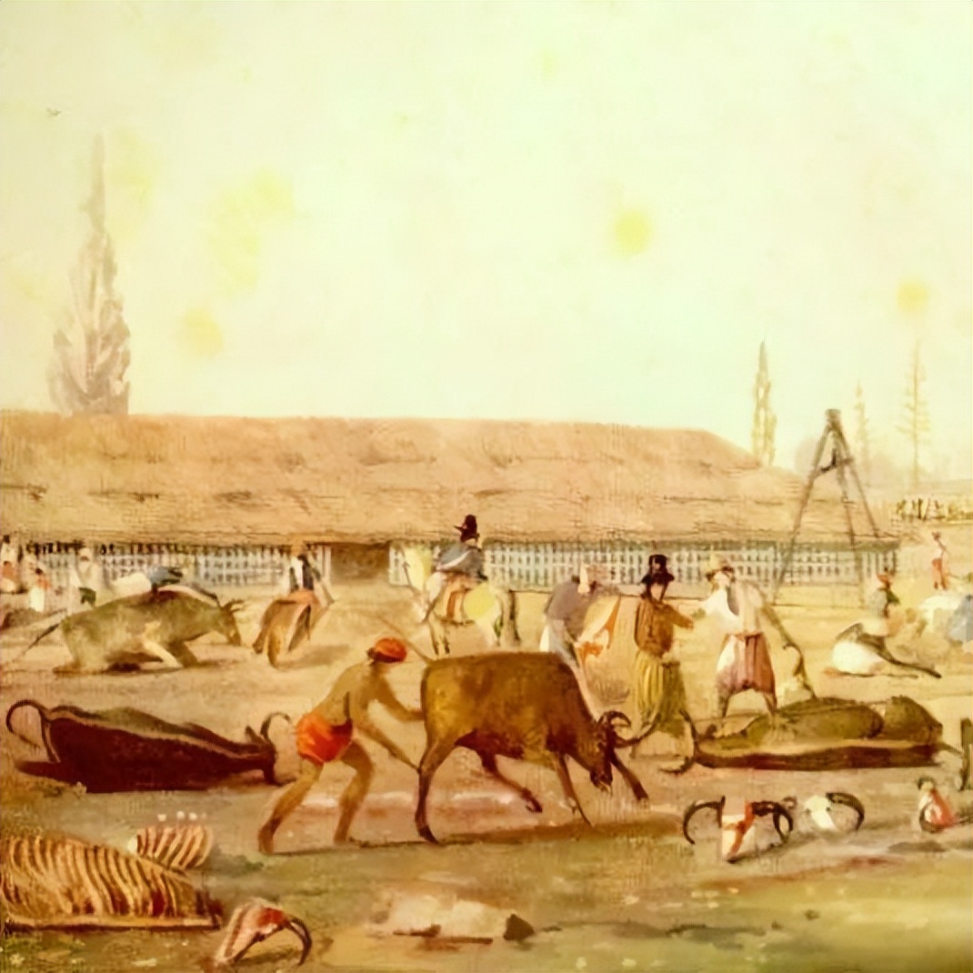 阿根廷差点难逃悲情的命运,阿根廷最终胜利了吗