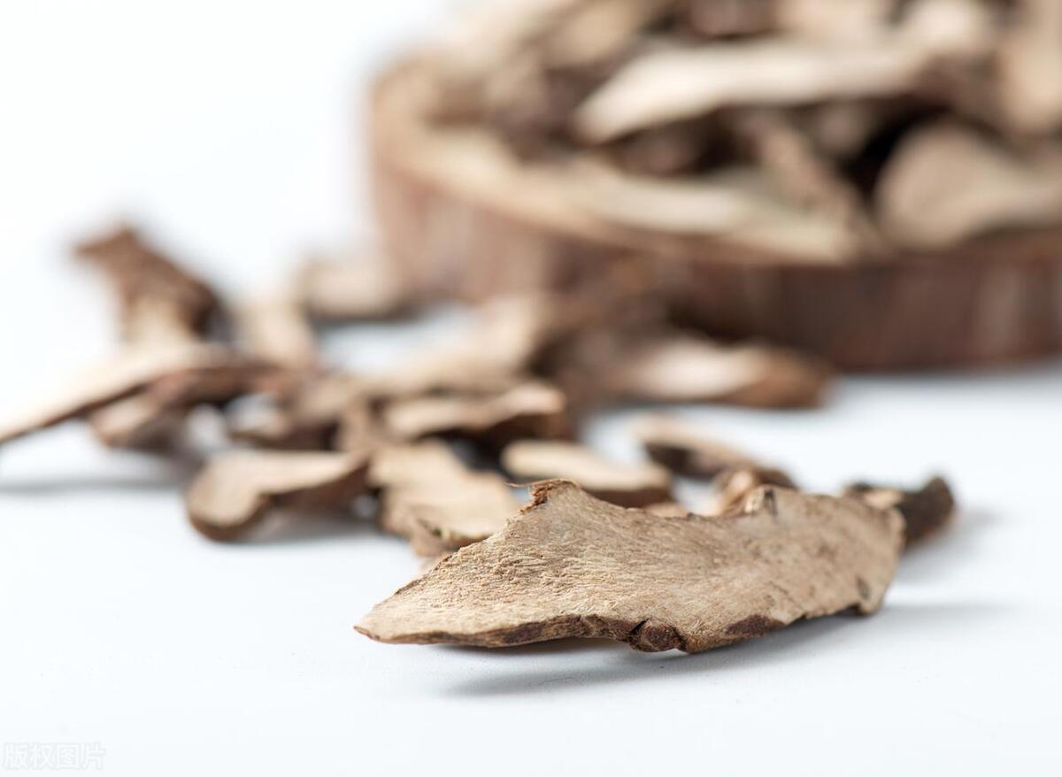 *泄早**,许是玄府不通,善用麻黄,开通玄府,兴阳止泄