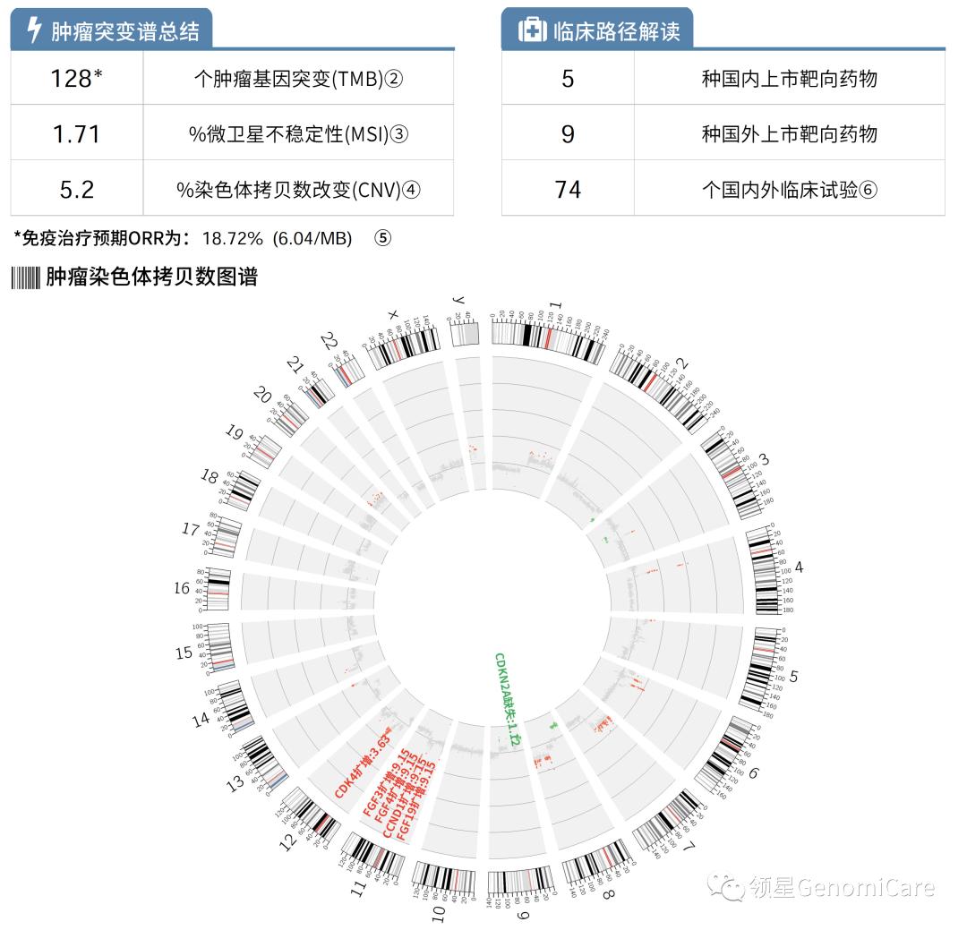 肝癌手术后介入治疗和靶向,肝癌手术后靶向和免疫治疗存活期