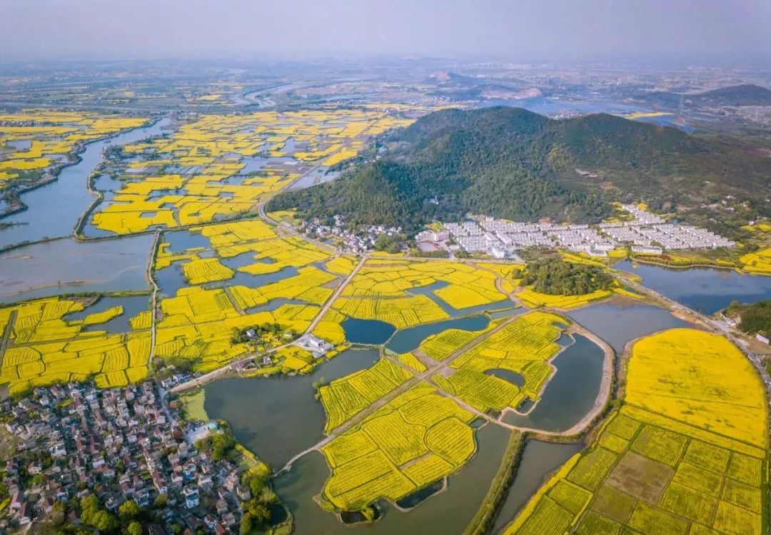 合肥和石家庄哪个城市比较好,合肥最有潜力的省会