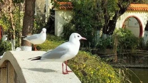 中考作文静一点范文,中考作文押题2022范文榜样主题