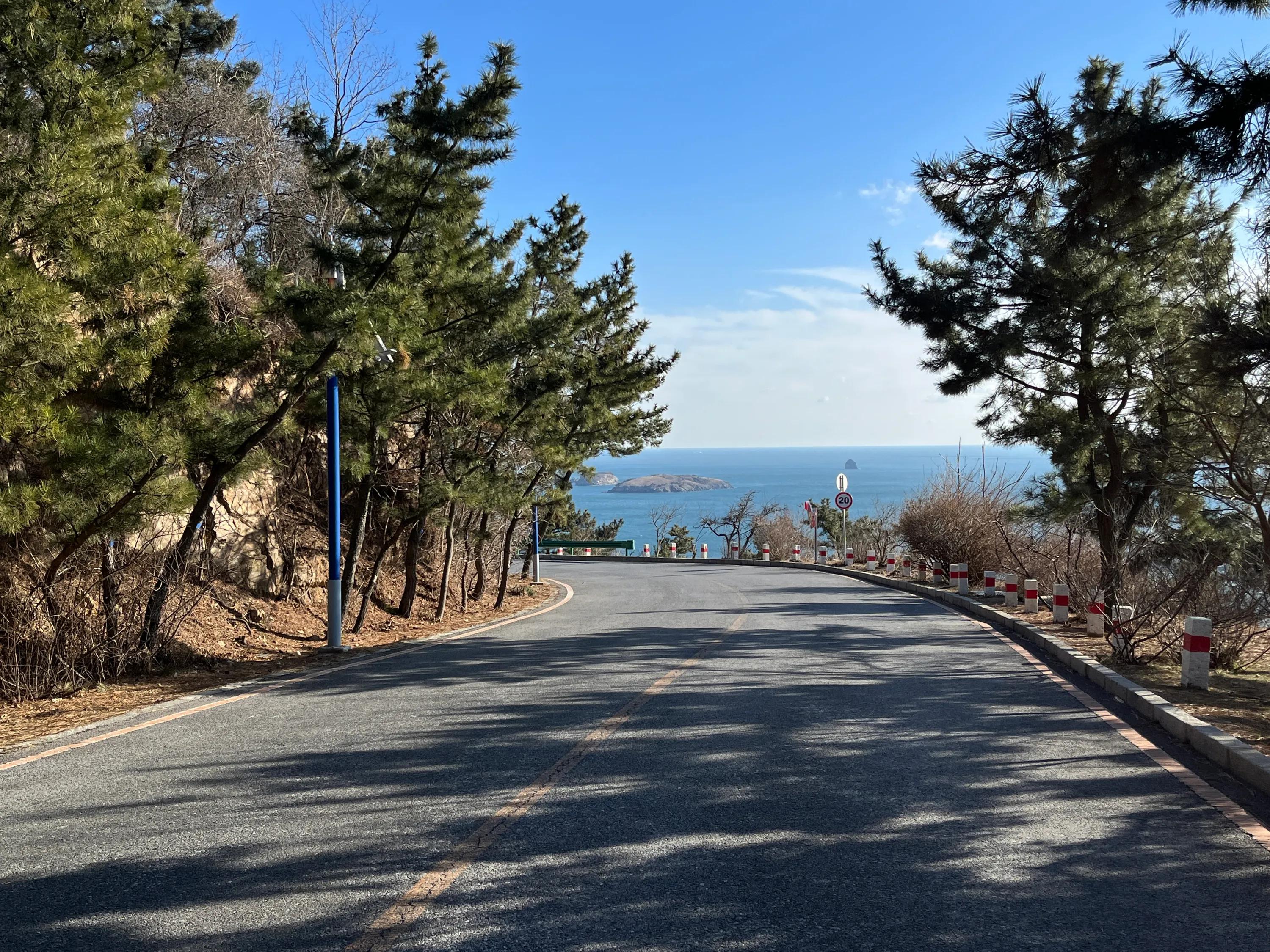 大连渤海旅游攻略最新,北国之春大连旅游攻略