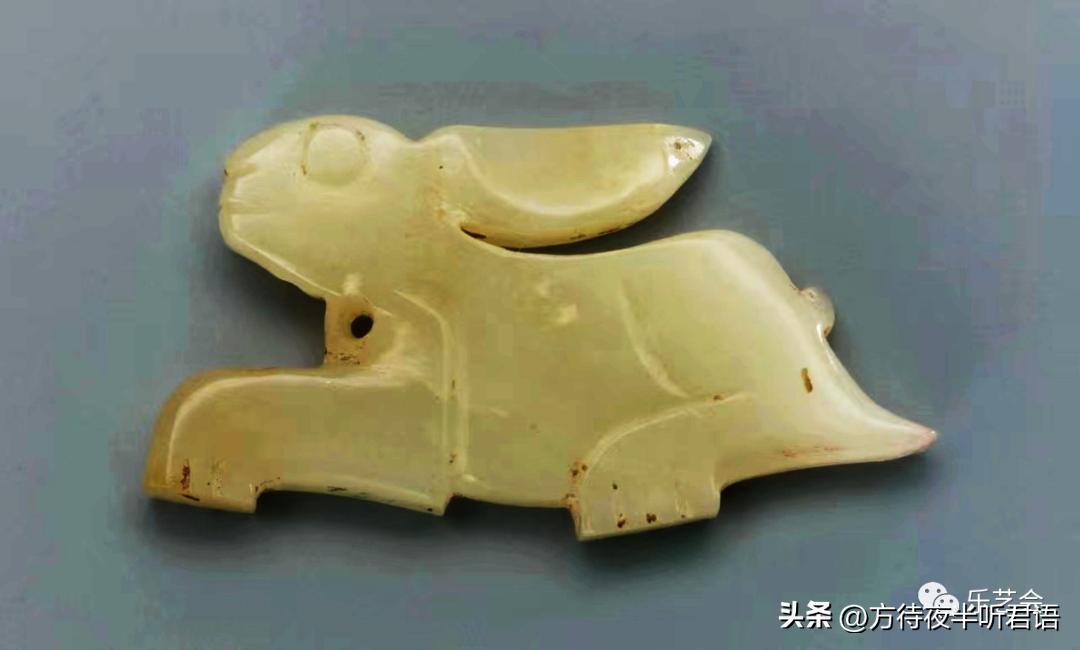 兔年说兔第一段在文中有何作用,兔年说兔说明文