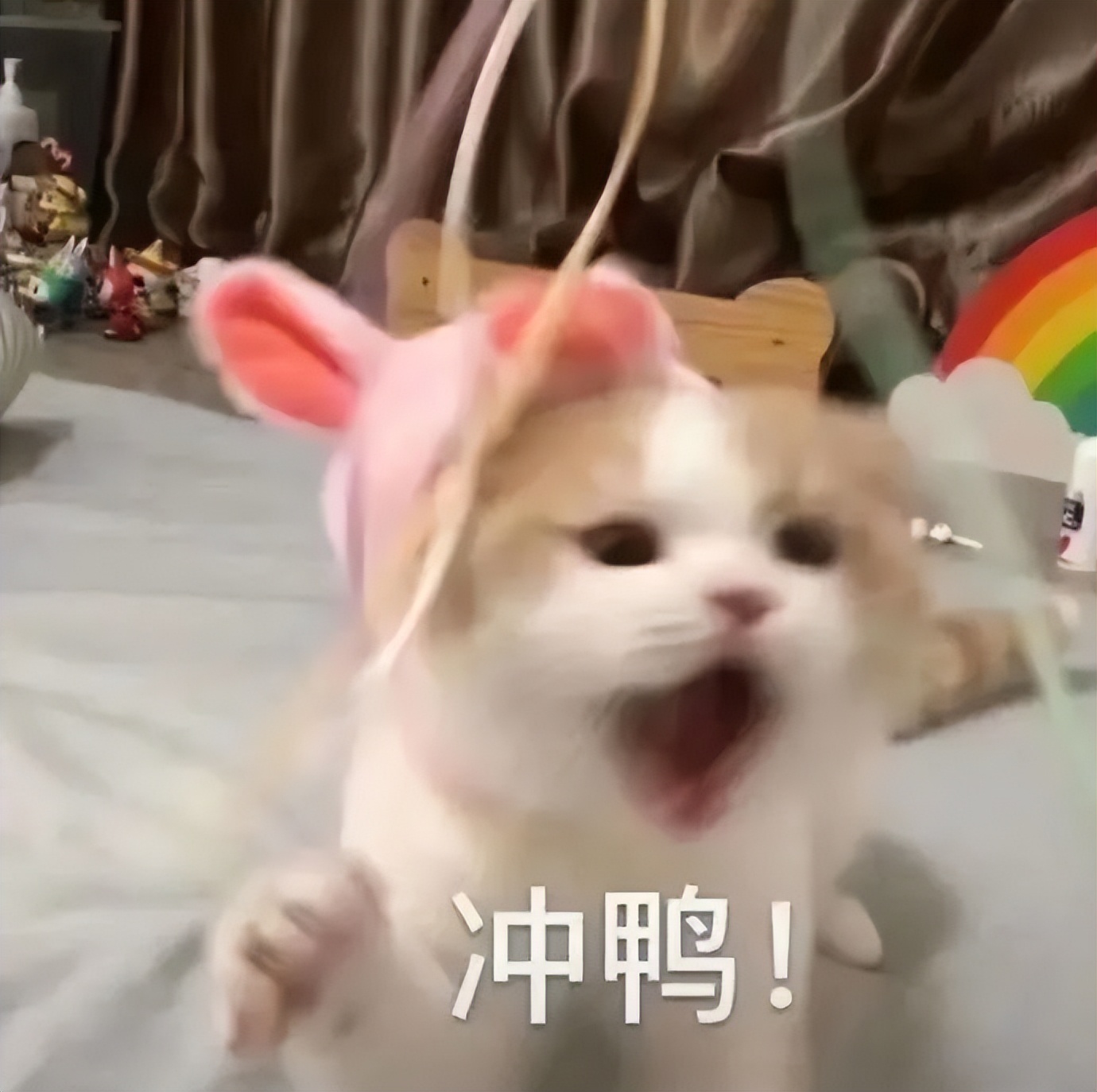 夏天微胖连衣裙,小个子120-150斤微胖连衣裙