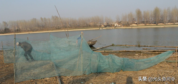 四大家鱼最深能生活在多少米,淡水鱼最大多大