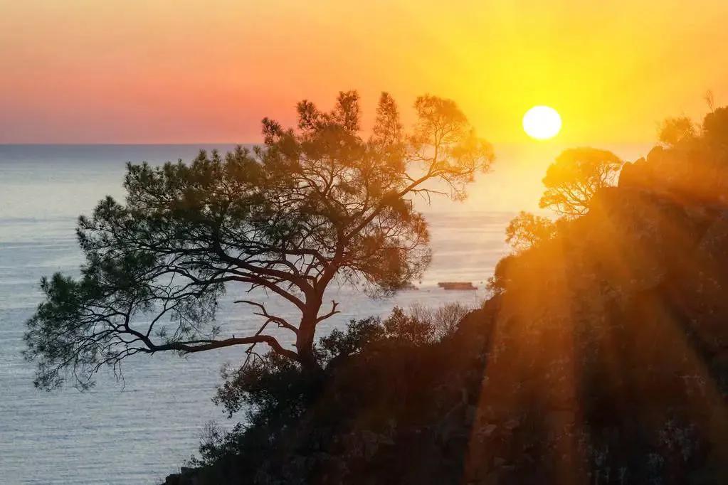 妈,我的生存金我做主,就让我陪您和爸去草原,看看火红的萨日朗