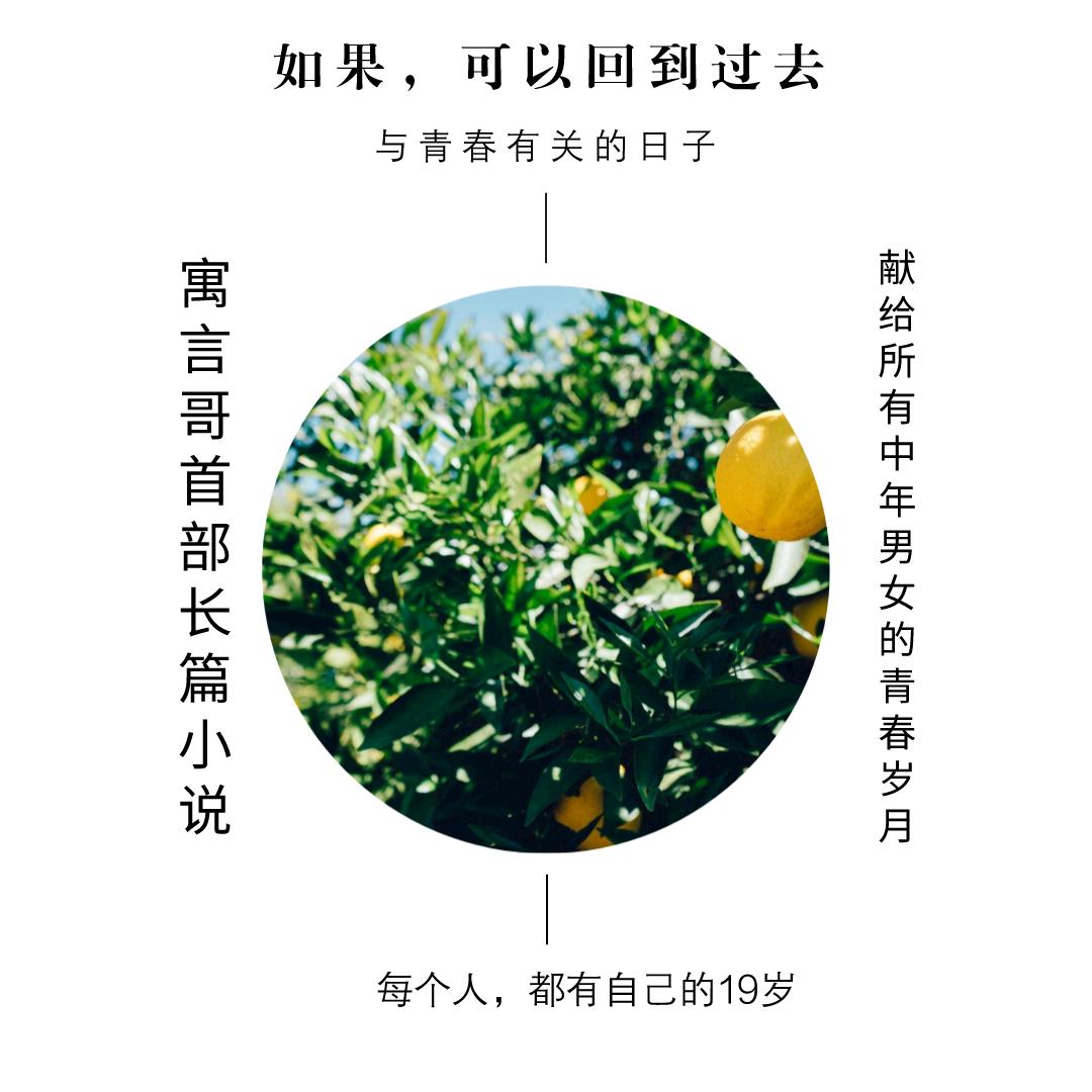 如果可以回到过去合集,如果可以回到过去电影解说