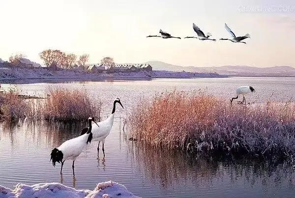 2022年12月23日星期五农历:壬寅年【虎年】十二月初一一九第二天
