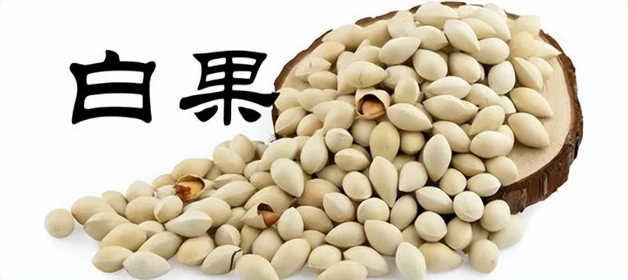 每日一味中药薏苡仁,每日一味中药白扁豆