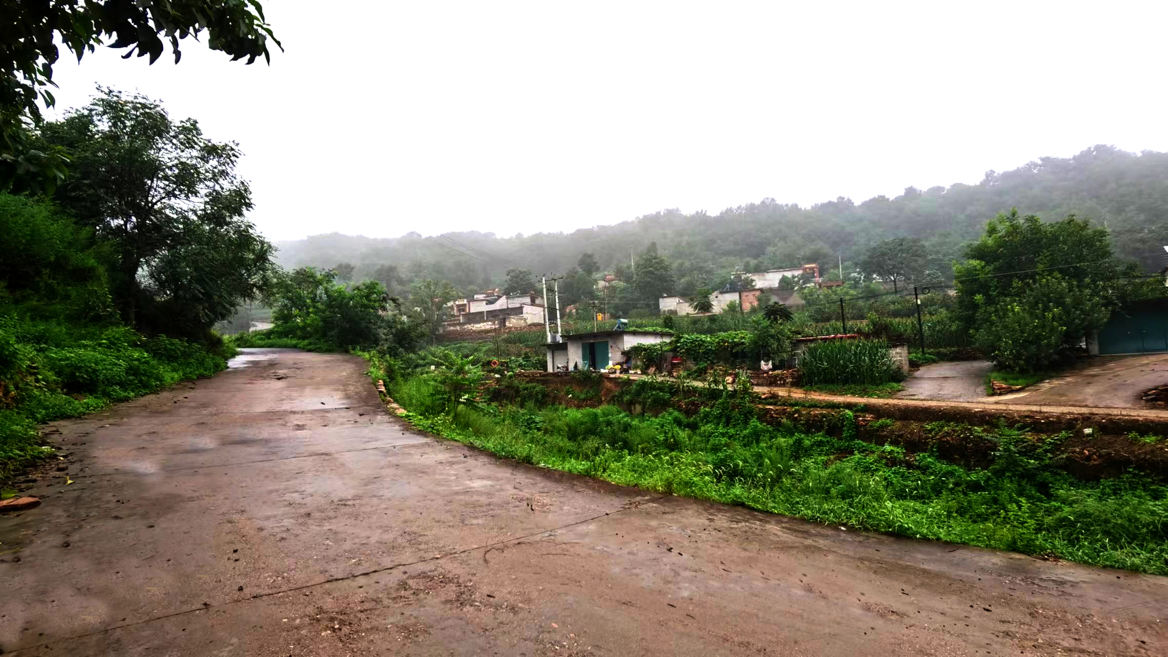 坨坨村纪事《一张借粮条的故事》（小说）