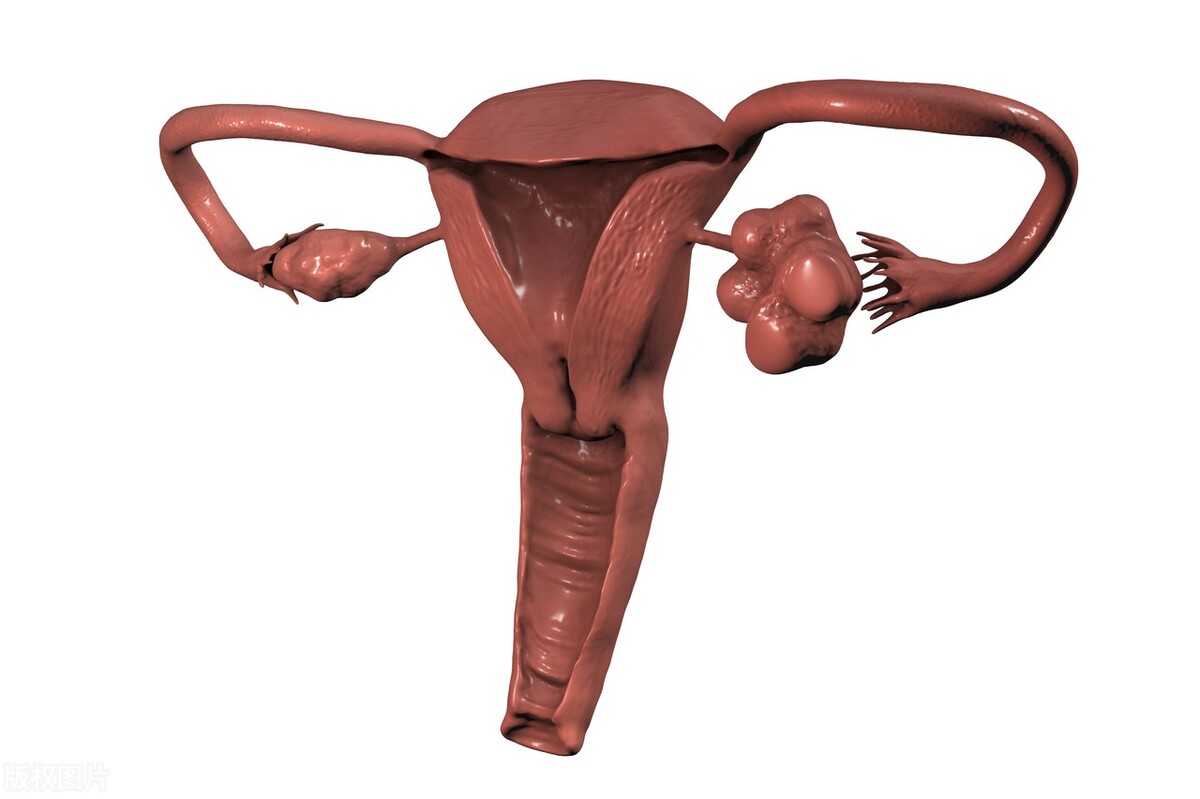 女人老了子宫能收缩吗,女性老了之后子宫会从哪里掉出来