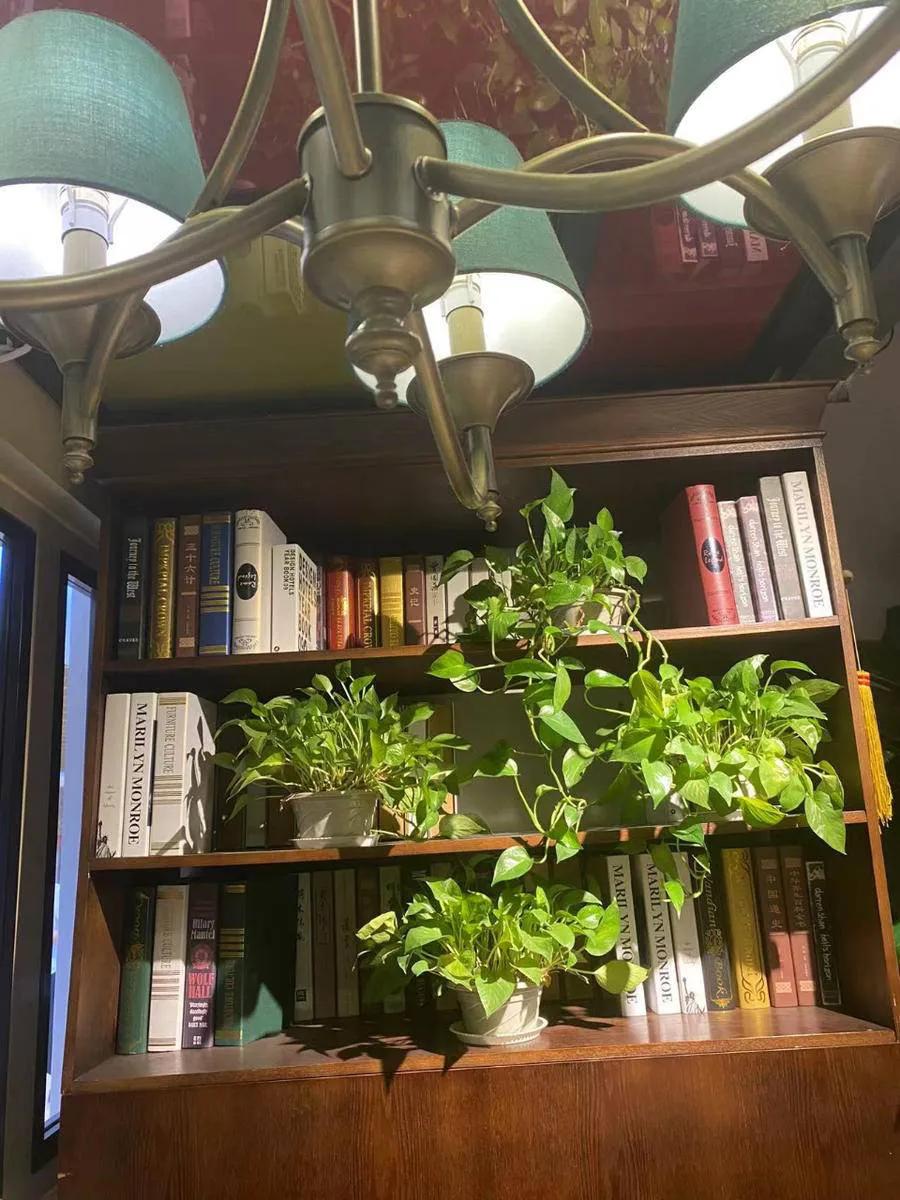 齐鲁一绝全文免费阅读,齐鲁一绝