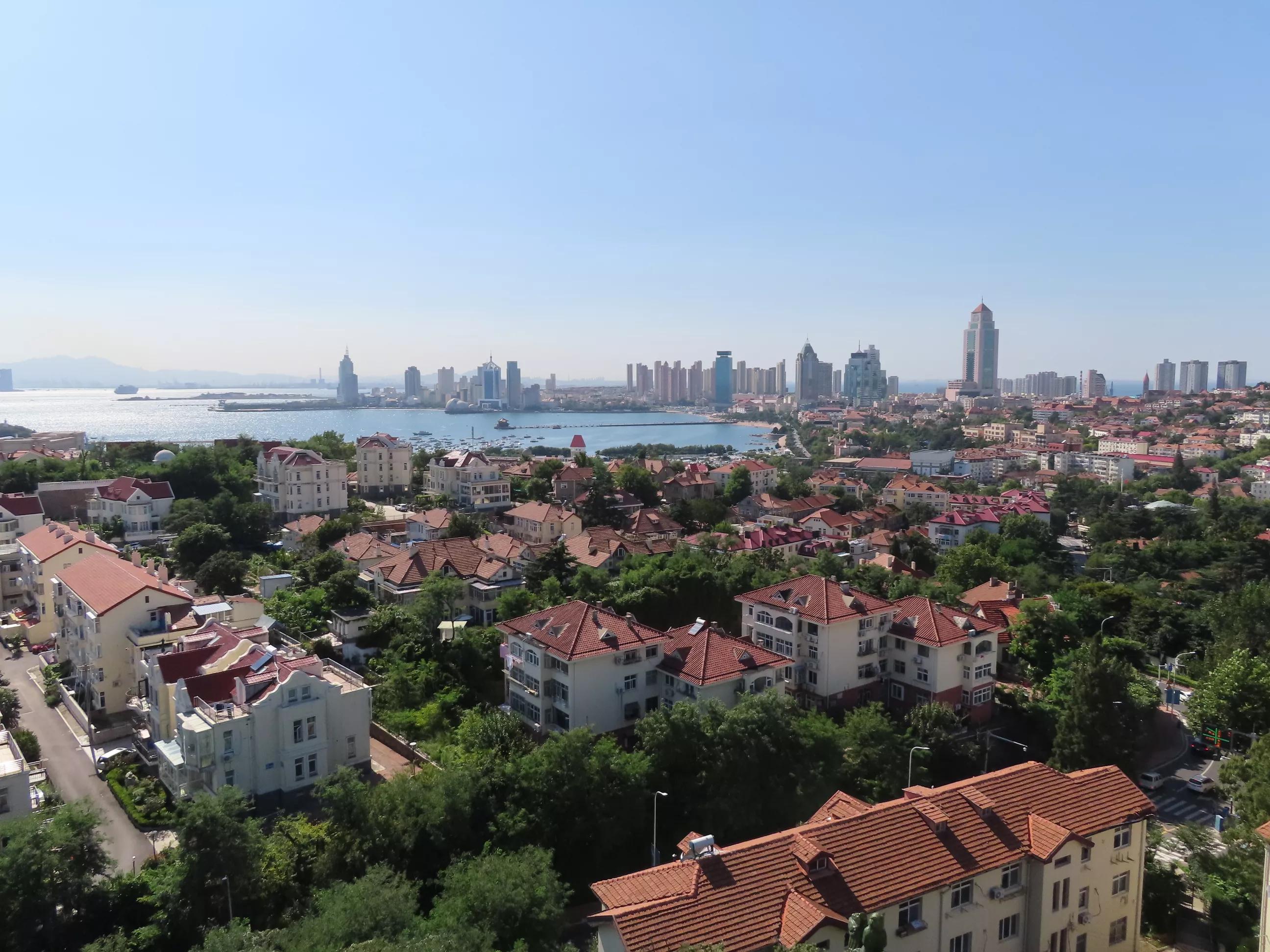 青岛的海,青岛的海鸥