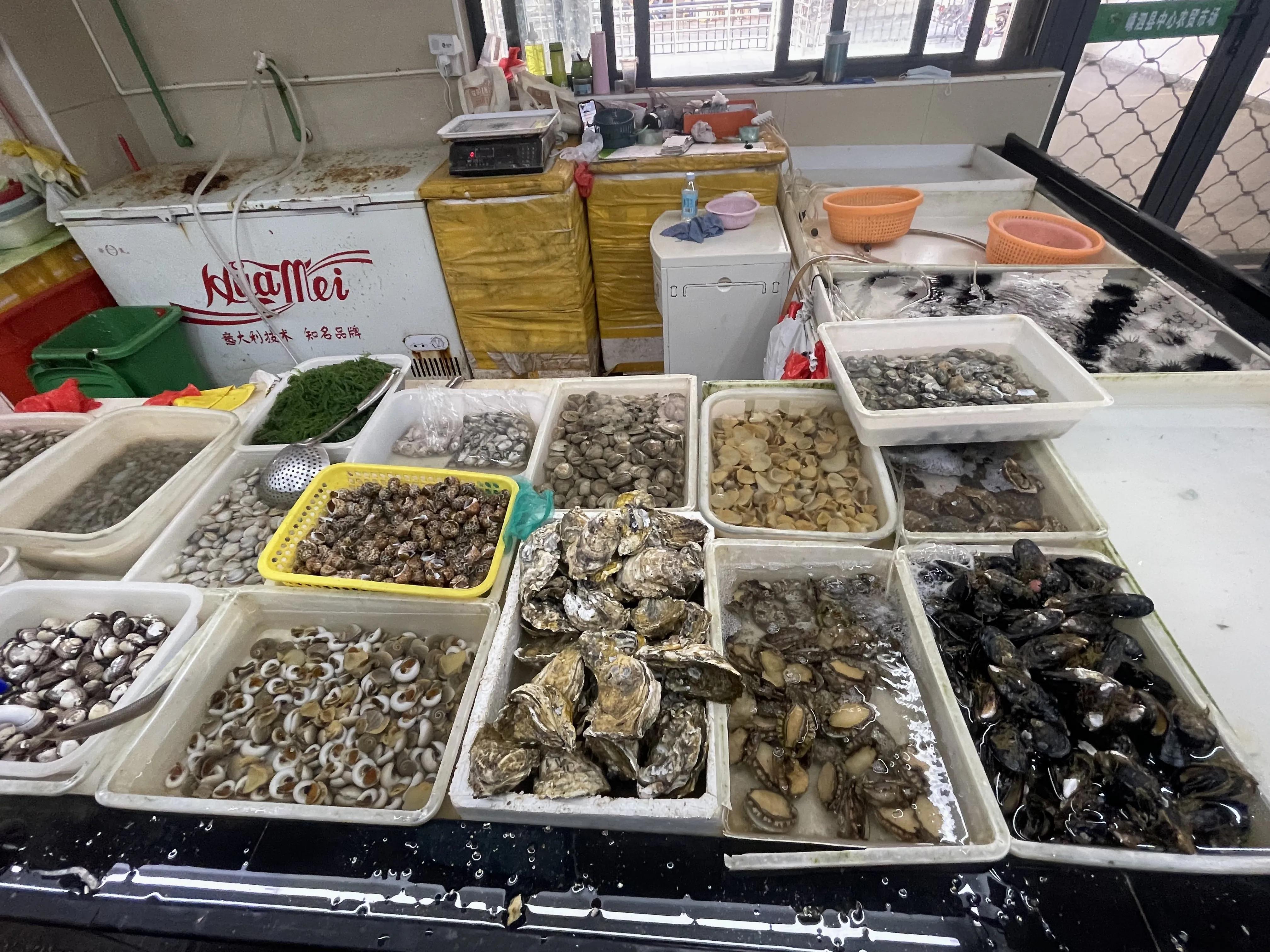 嵊泗花鸟岛和枸杞岛亲子游,嵊泗花鸟岛和枸杞岛哪个值得去