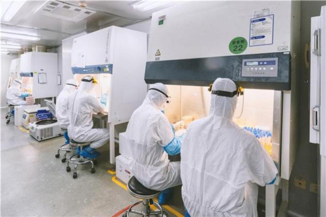 华大基因千亿市值,华大基因在同行业地位