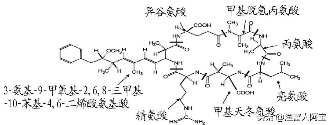 藻毒素最佳处理方法,藻毒素属于哪类物质