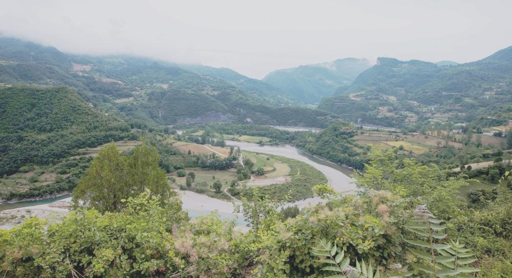 乾隆御赐酒真品图片大全,乾隆宫廷贡酒