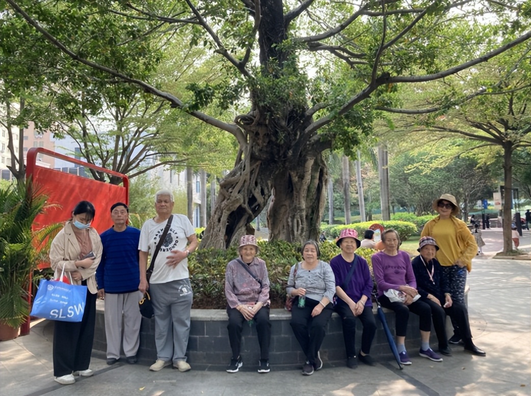 7台演出、6场展览、41场活动……请查收11月份光明区文化菜单！