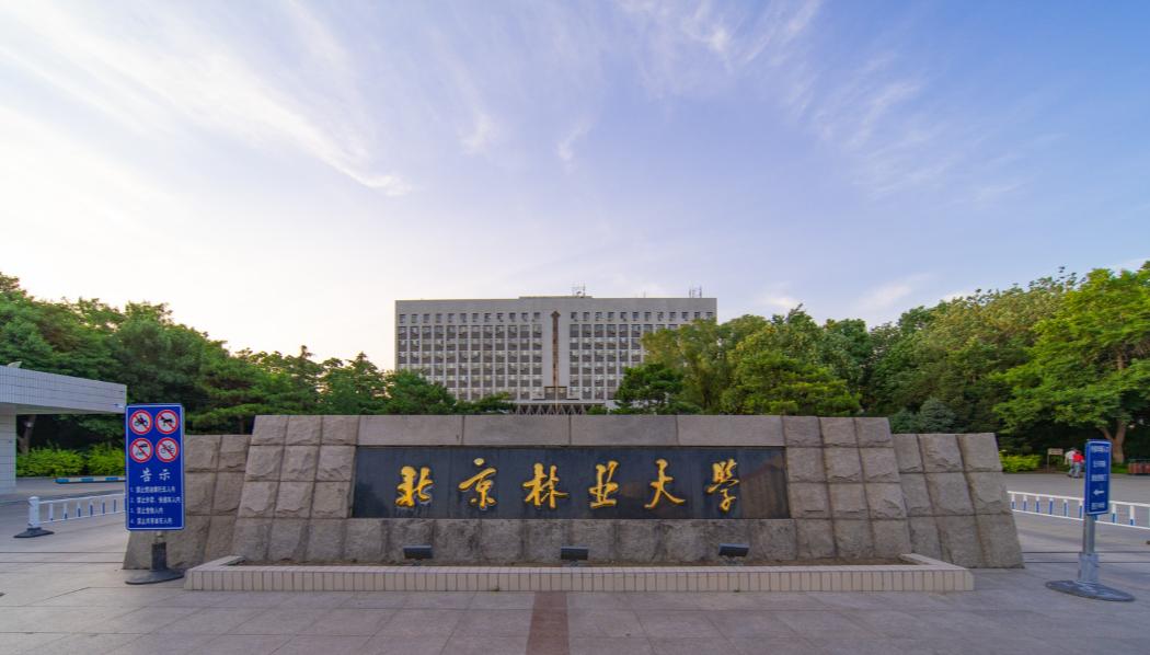 山东高考志愿填报最好专业,山东高考志愿填报专业及录取