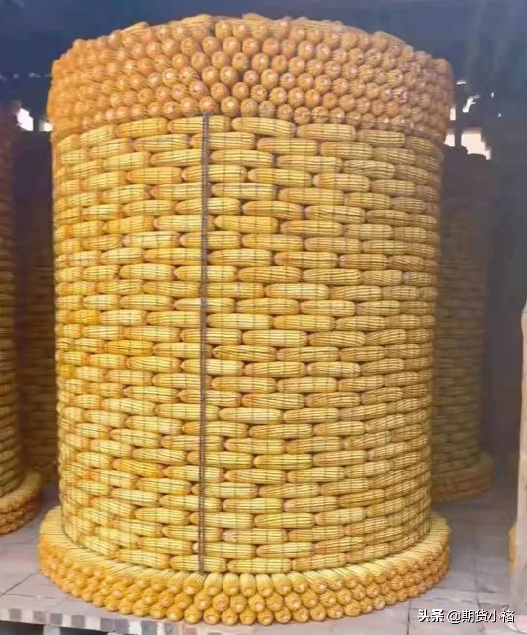 玉米市场购销活跃未来价格可期,玉米期货供需最新消息