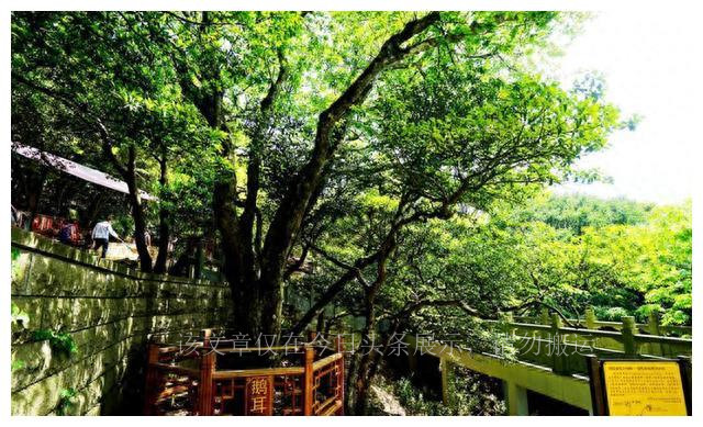 太阳系算大吗,太阳系和银河系大小对比图