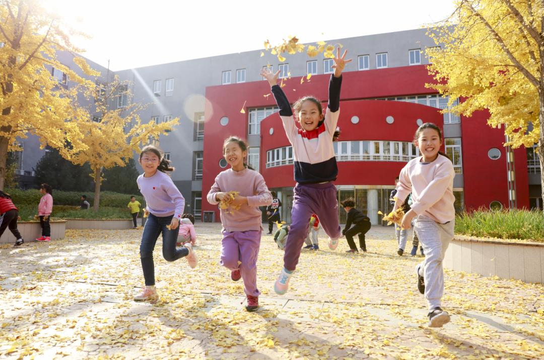 核心区教育,优质教育发展均衡区