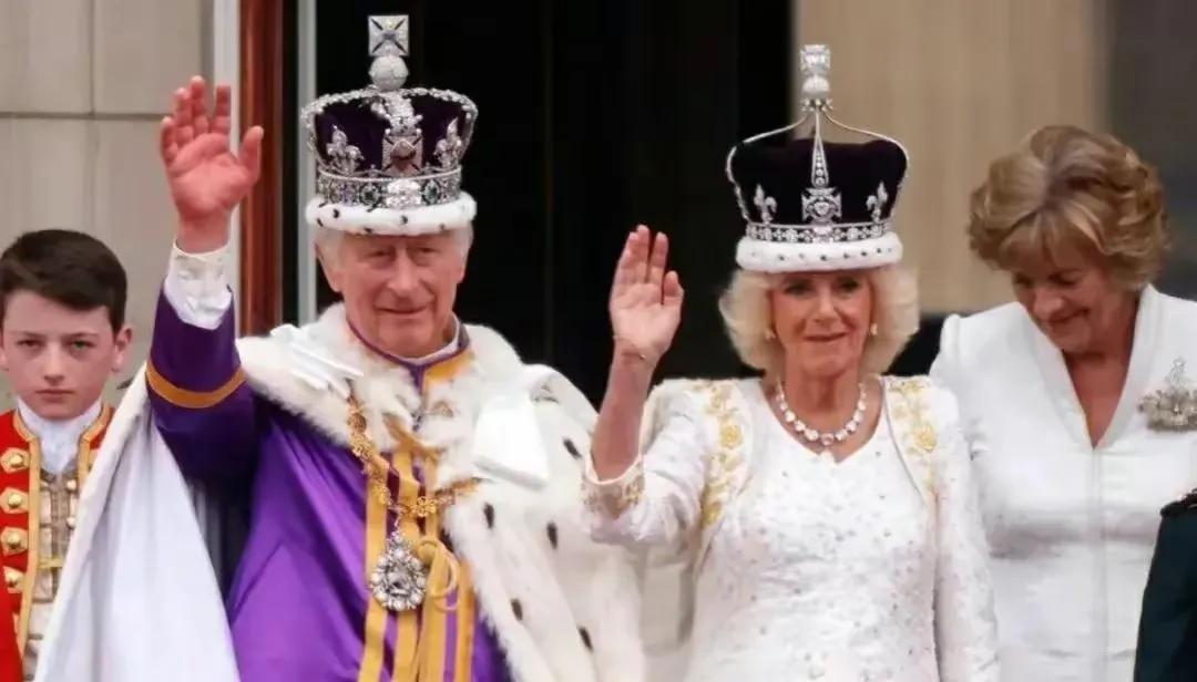 漫画讽刺查尔斯,英国讽刺漫画查尔斯解读