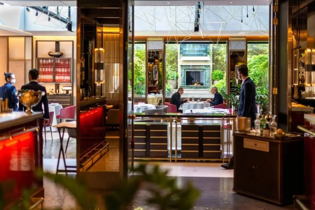 骄傲信阳,马德里信阳毛尖