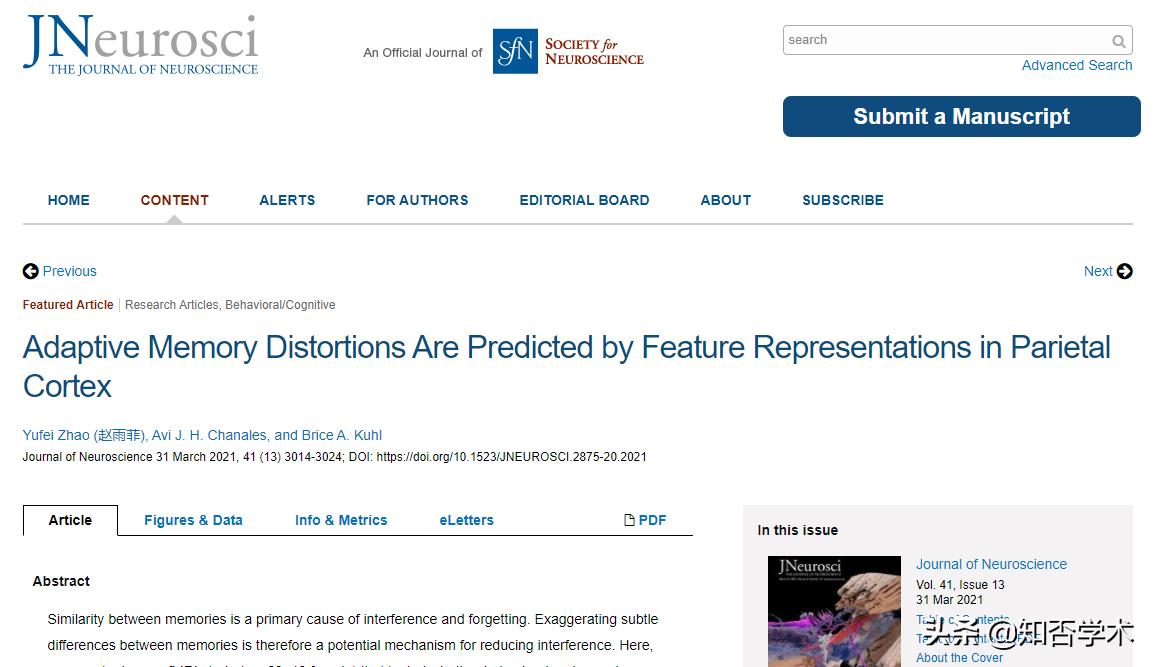 大脑欺骗实验,大脑欺骗视觉还是视觉欺骗大脑