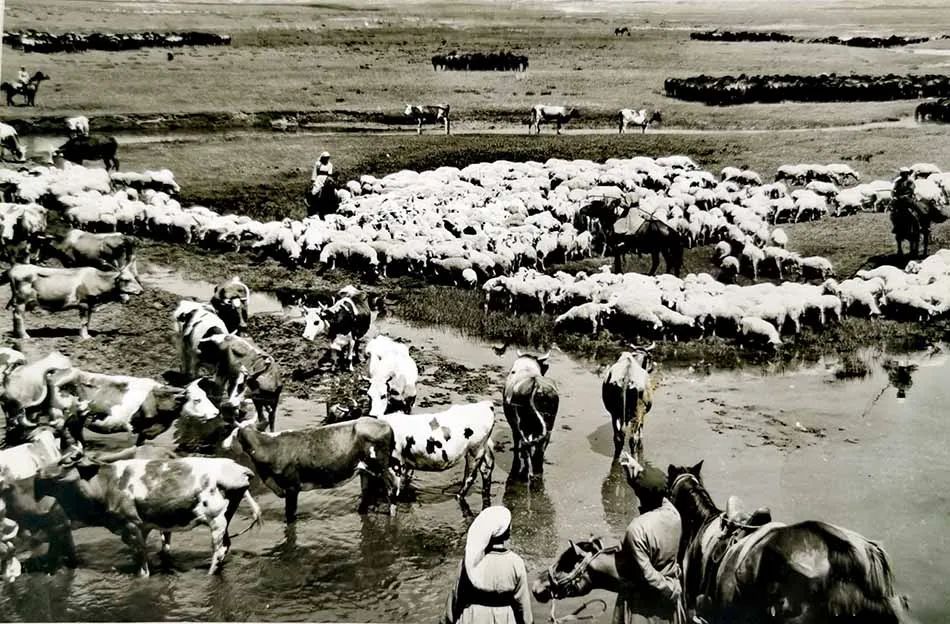 欧洲油画起源,欧洲油画背后的故事