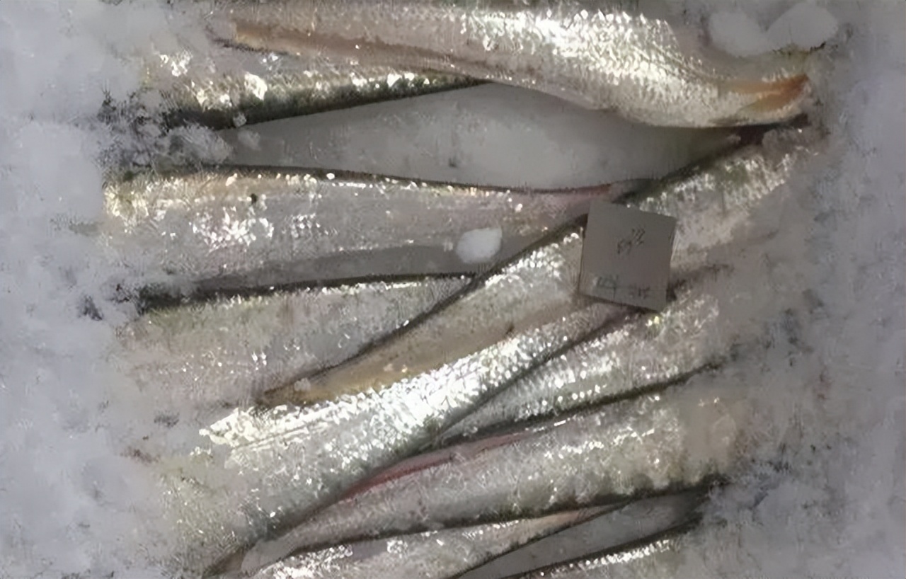 江湖上最霸气菜名,最个性的江湖菜店名