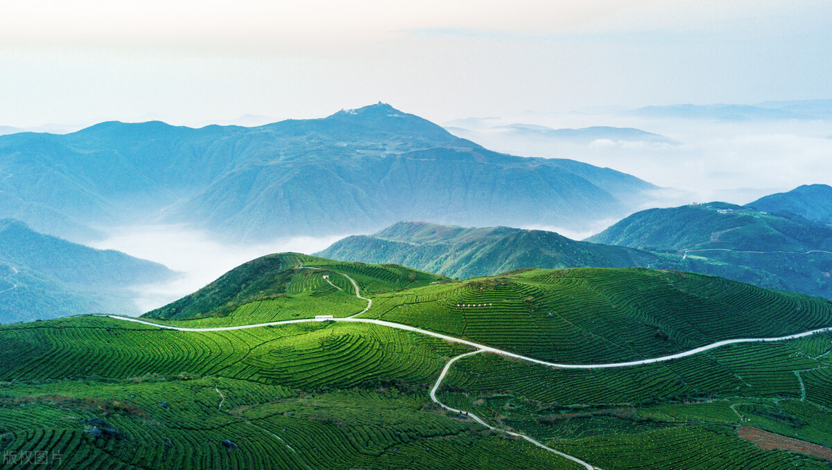 中国茶成功申遗,为什么中国茶文化申遗能够成功