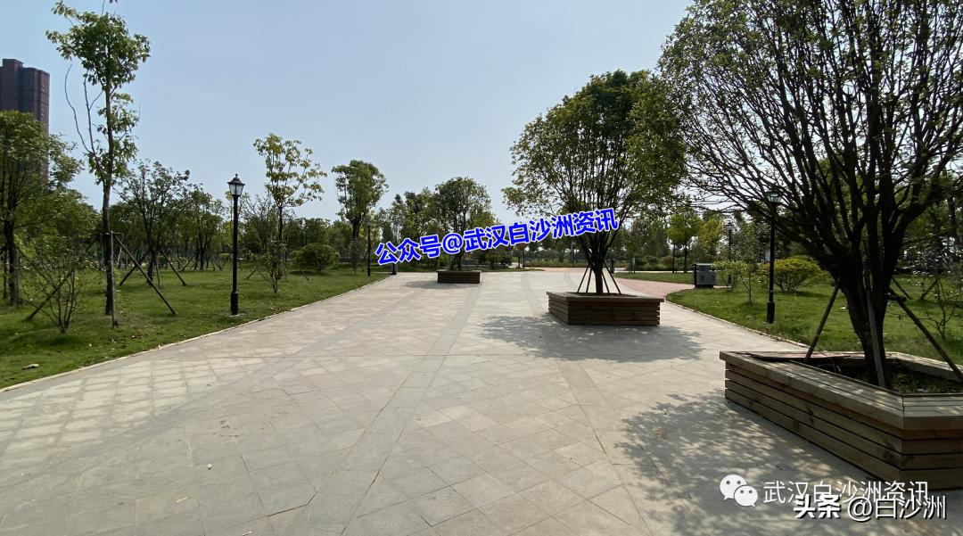 遗憾！青菱红霞游园不能建设足球场