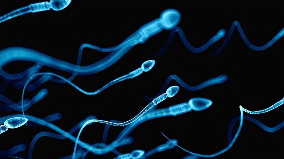 治疗男性精子活力的中药配方,提高精子活性的药治早泄吗