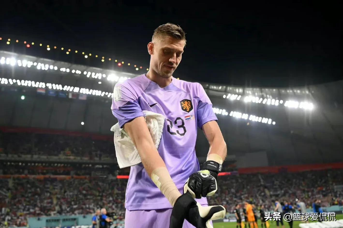 世界杯荷兰队战胜巴西队,世界杯八强阿根廷对荷兰