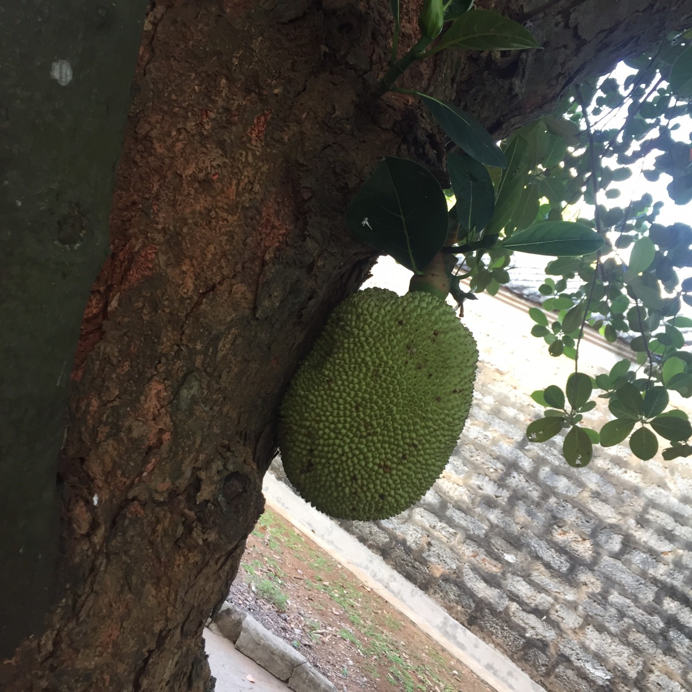 西安自驾北海6日游攻略,成都自驾北海6日游攻略