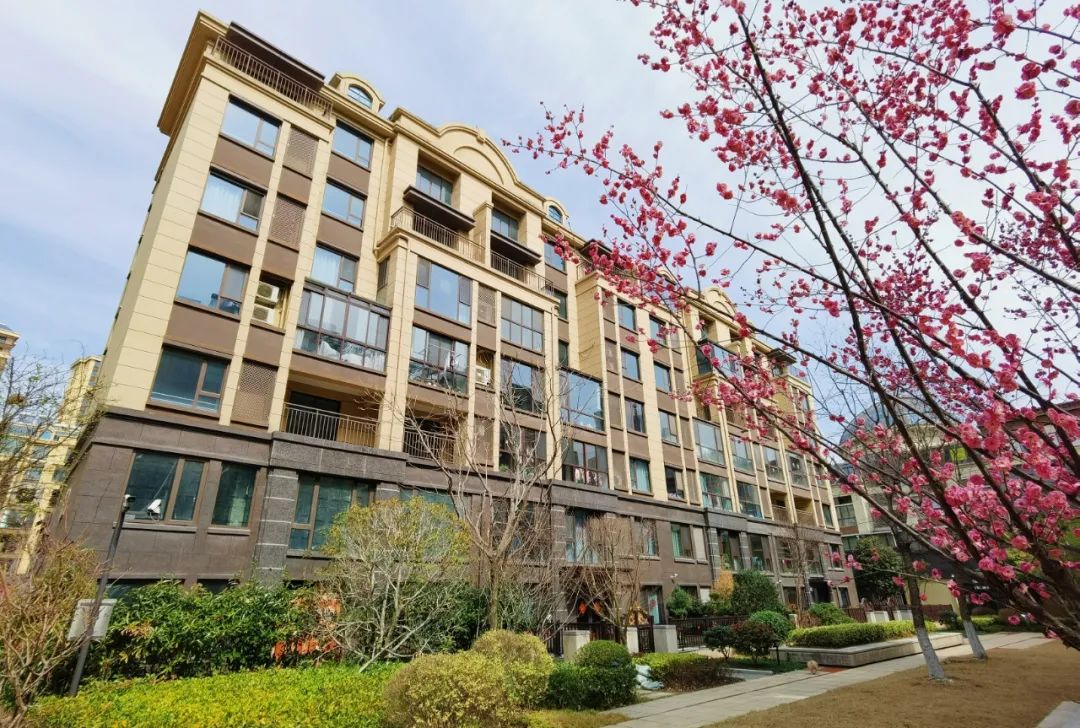 央企开盘捷报盘点,央企大盘如期交付