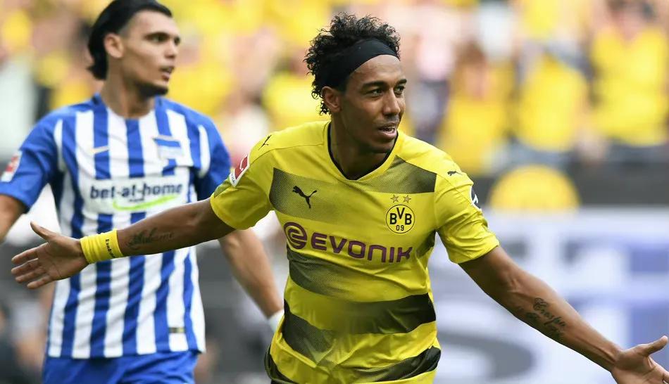 最新英超哈兰德,英超六强谁买了哈兰德