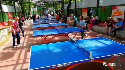 乒乓球是最省钱的运动吗,乒乓球最便宜的配置