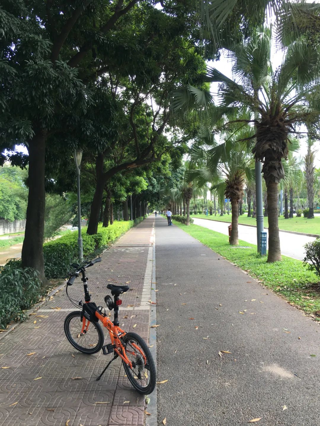 《旭光骑行深圳》第21站——龙华区龙华街道