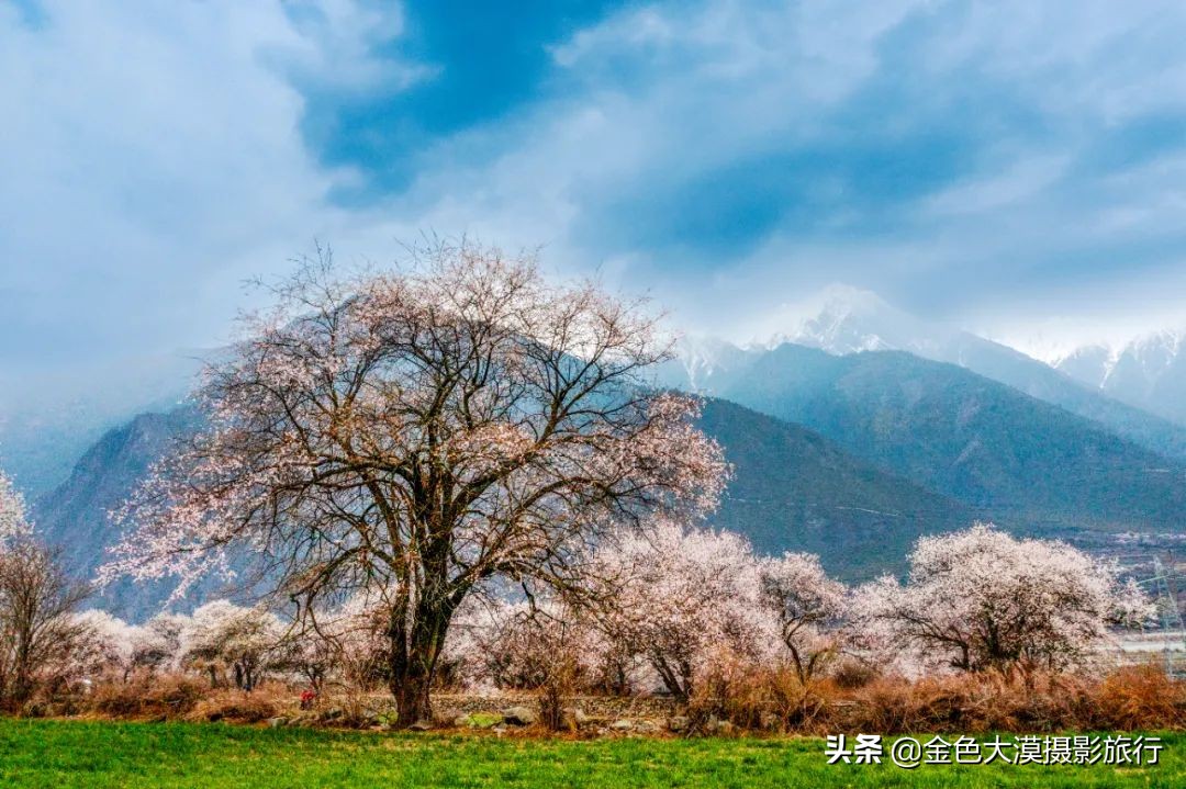 3月份去西藏林芝,3-4月去西藏林芝好玩吗