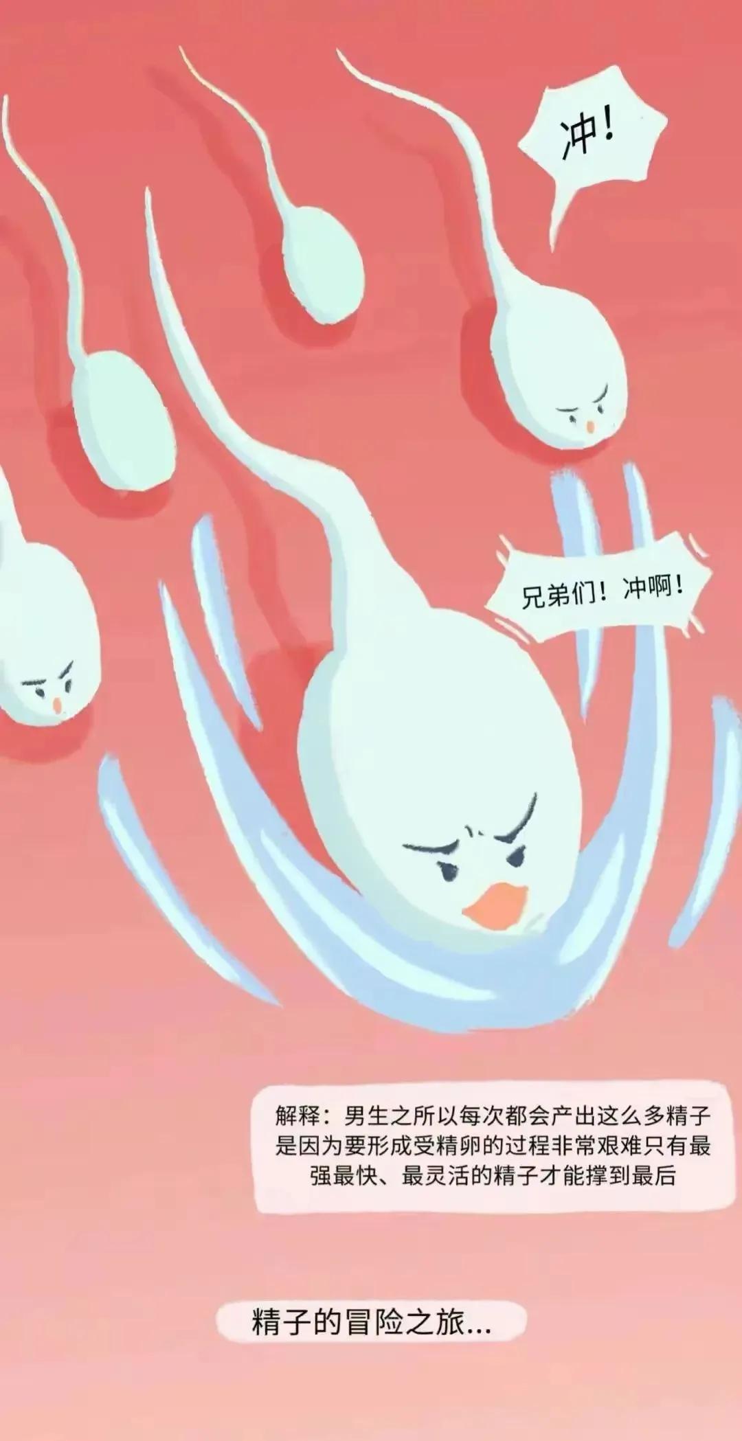 如何怀孕具体步骤图片,怎样才会怀孕简单的图片