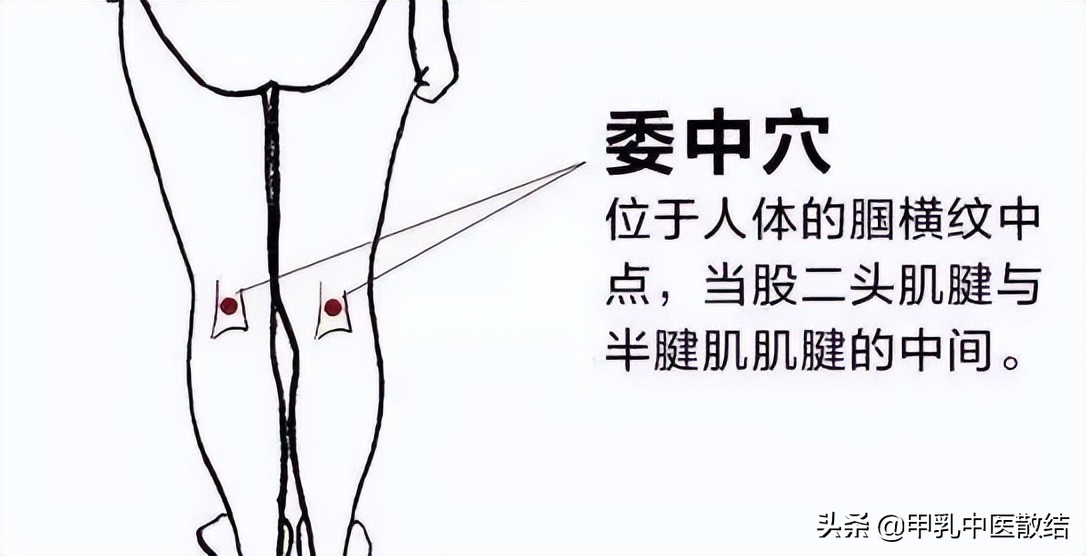 人体祛湿哪些中成药比较好,人体两大祛湿器官