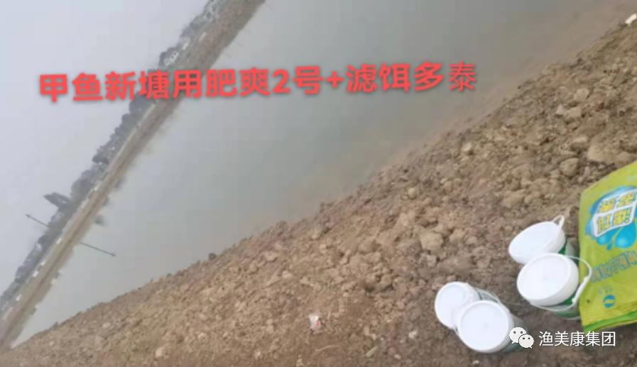 养殖甲鱼水霉病怎样处理,甲鱼腐甲最简单的处理